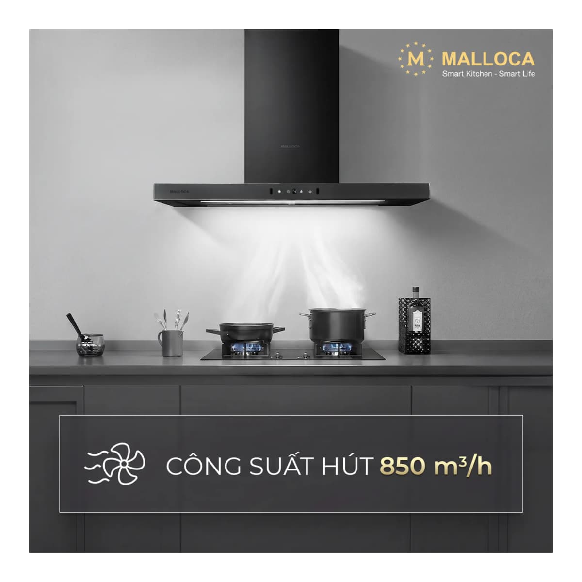 Máy hút mùi áp tường dạng chữ T 70 cm chính hãng Malloca
