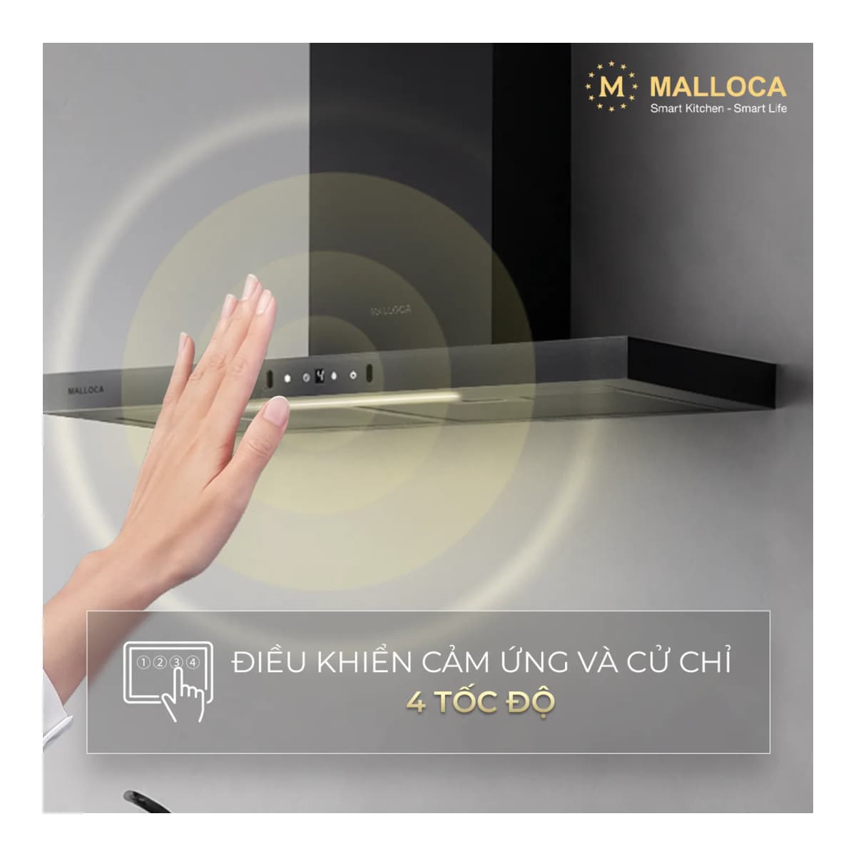 Máy hút mùi áp tường dạng chữ T 70 cm chính hãng Malloca