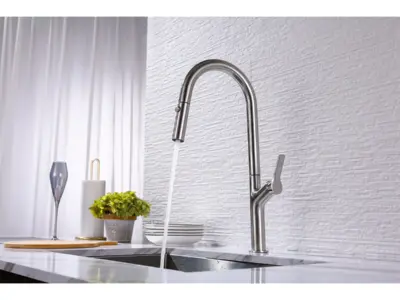 Vòi bếp Hafele LUX-P HT25-SH1F449