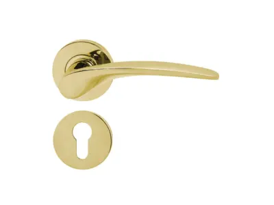 Tay nắm gạt có nắp che cho cửa phòng Hafele - Đồng bóng PVD