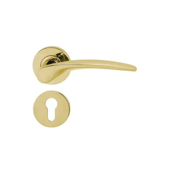 Tay nắm gạt có nắp che cho cửa phòng Hafele - Đồng bóng PVD