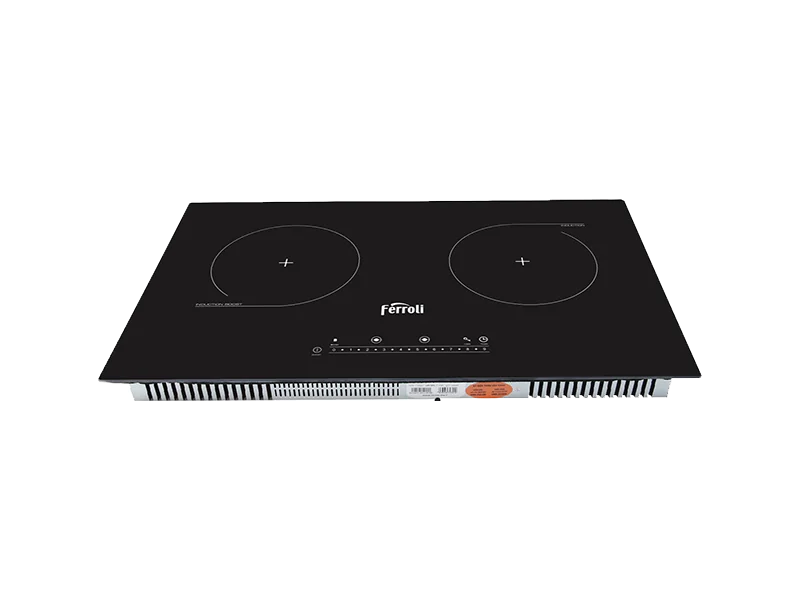 Bếp từ đôi Flash SN