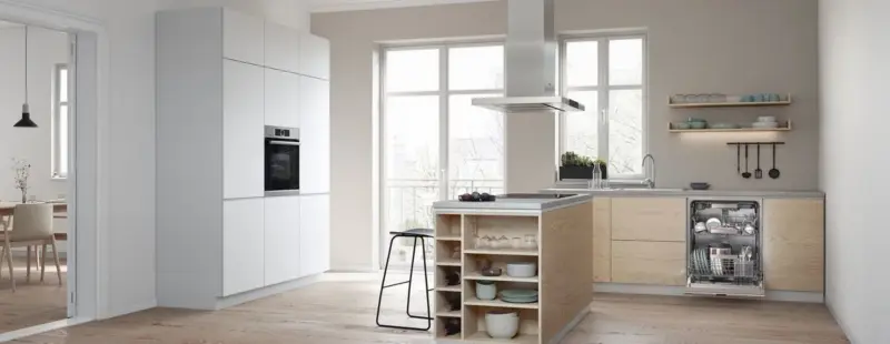 Máy rửa bát âm tủ