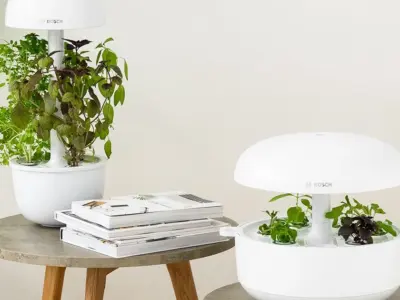 FAQ Vườn Thông Minh