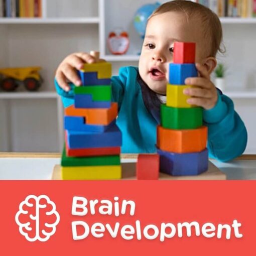 Sữa Bột Enfagrow Premium Toddler Next Step 1.04 Kg